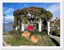 Immagine WhatsApp 2023-11-05 ore 11.53.24_3737a4c9 * 1024 x 768 * (228KB)